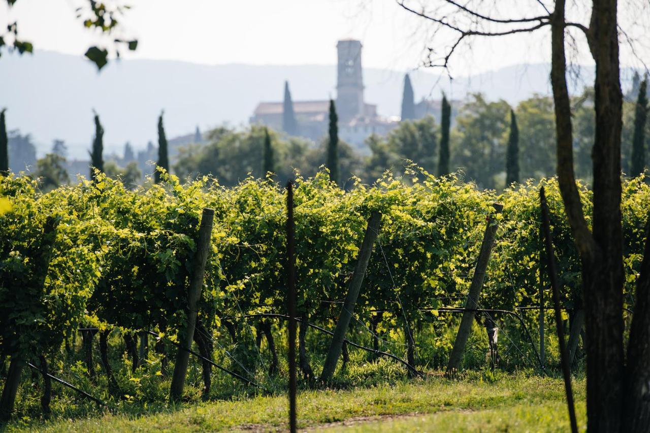 Dimora Buglioni Wine Relais Villa San Pietro in Cariano Exteriör bild