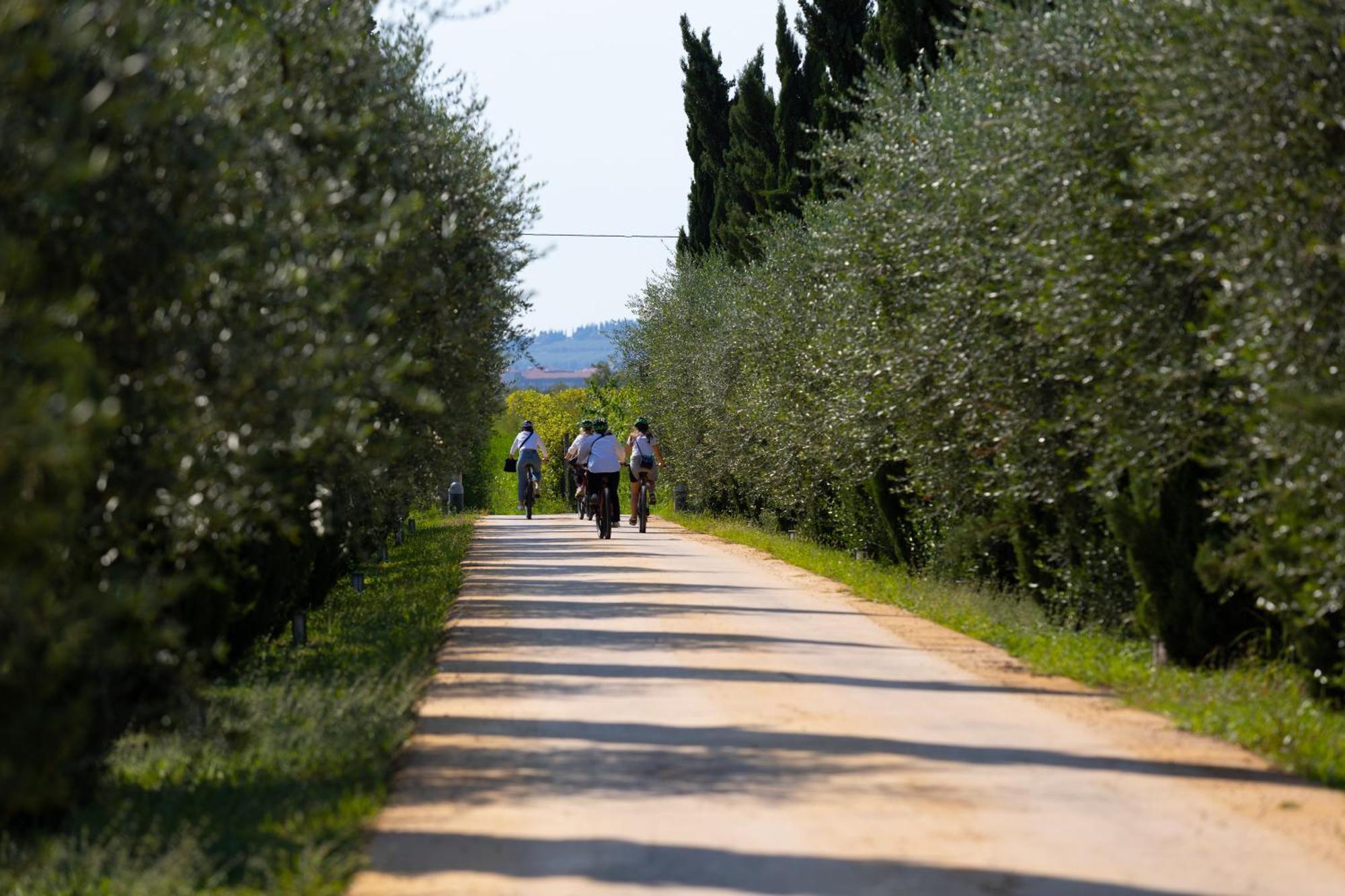 Dimora Buglioni Wine Relais Villa San Pietro in Cariano Exteriör bild